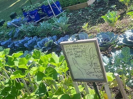 Recovery Garden